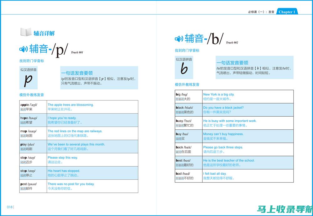 零基础学习：信阳SEO入门手册